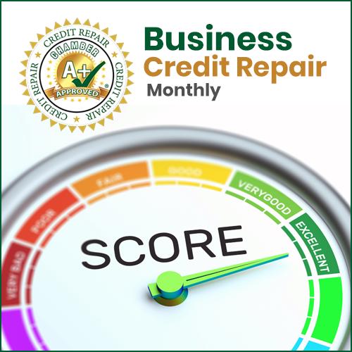 Business Credit Repair - Annual